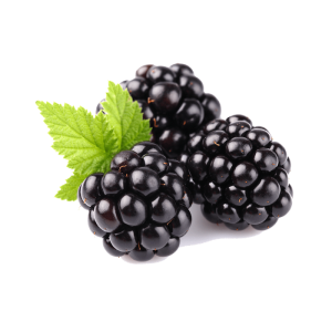 Ожина лісова